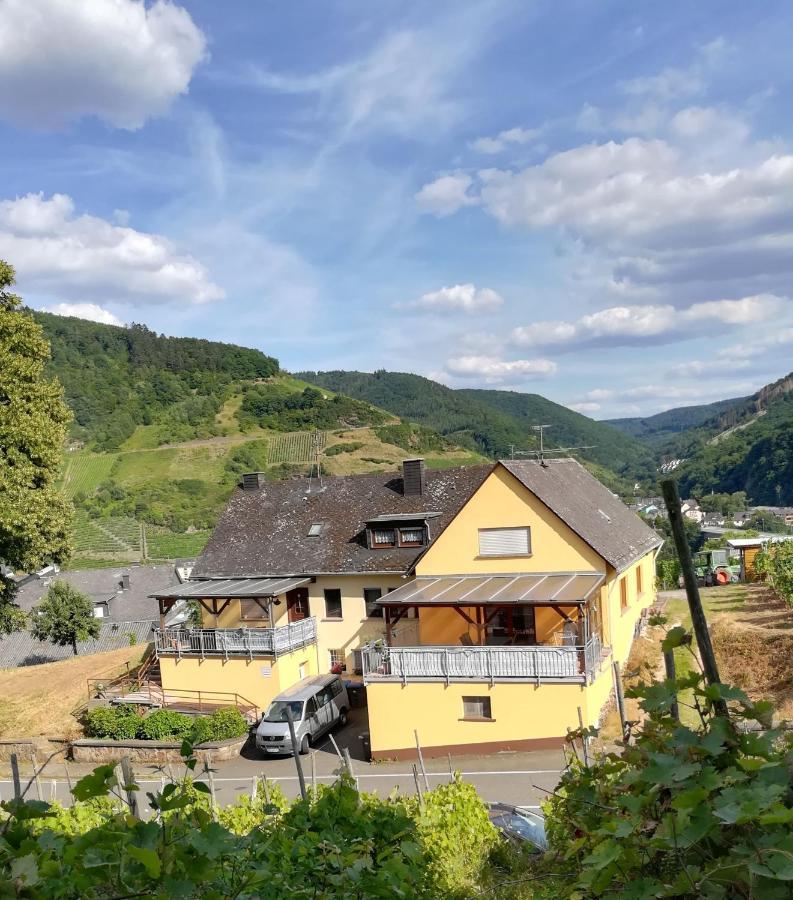 Die Ferienwohnung Lindenhof ツェル・アン・デル・モーゼル エクステリア 写真