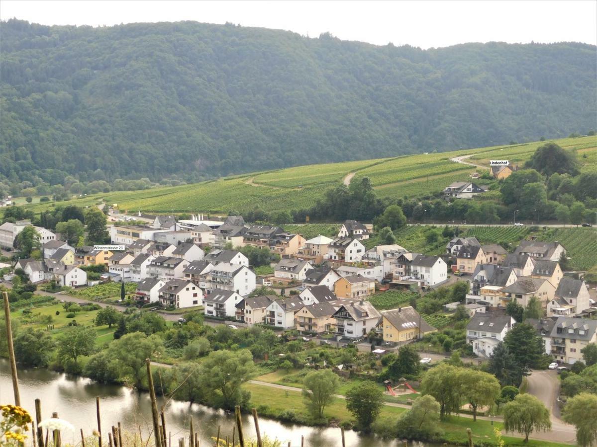 Die Ferienwohnung Lindenhof ツェル・アン・デル・モーゼル エクステリア 写真